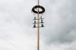 maibaum 2015   