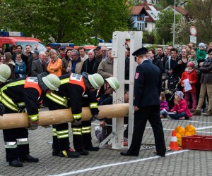 maibaum 2015   