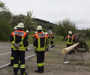 maibaum 2015