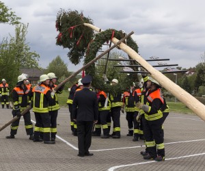 maibaum 2015