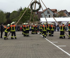 maibaum 2015