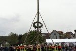 maibaum 2015