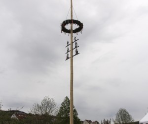 maibaum 2015