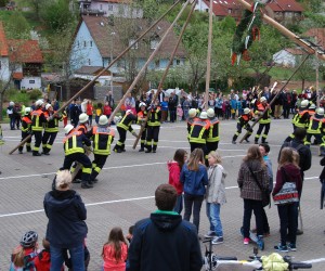 maibaum 2015