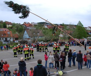 maibaum 2015