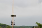 maibaum 2015