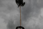 maibaum 2015