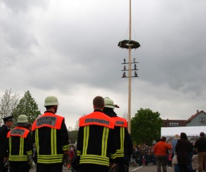 maibaum 2015