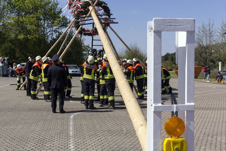 Maibaum.jpg